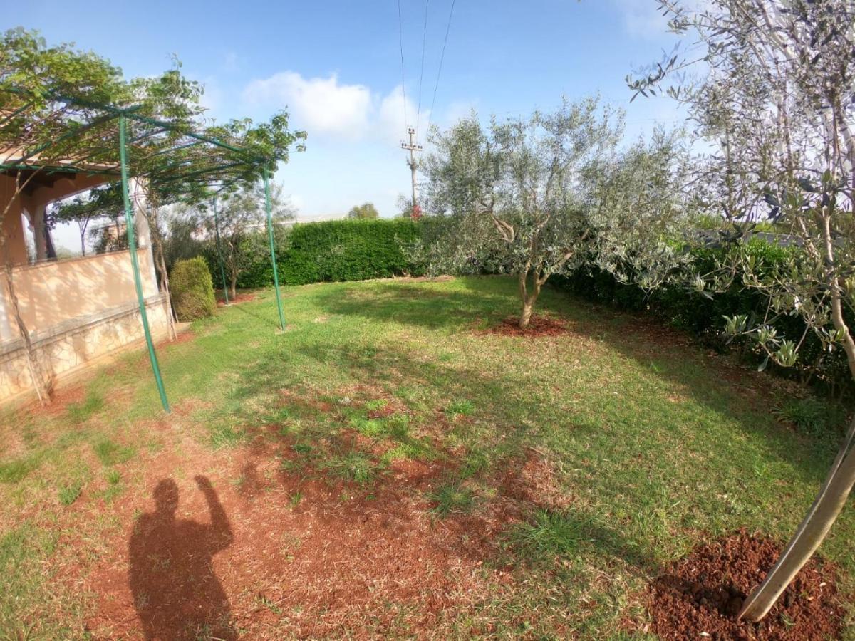 Spacious With Parking&garden Apartment *