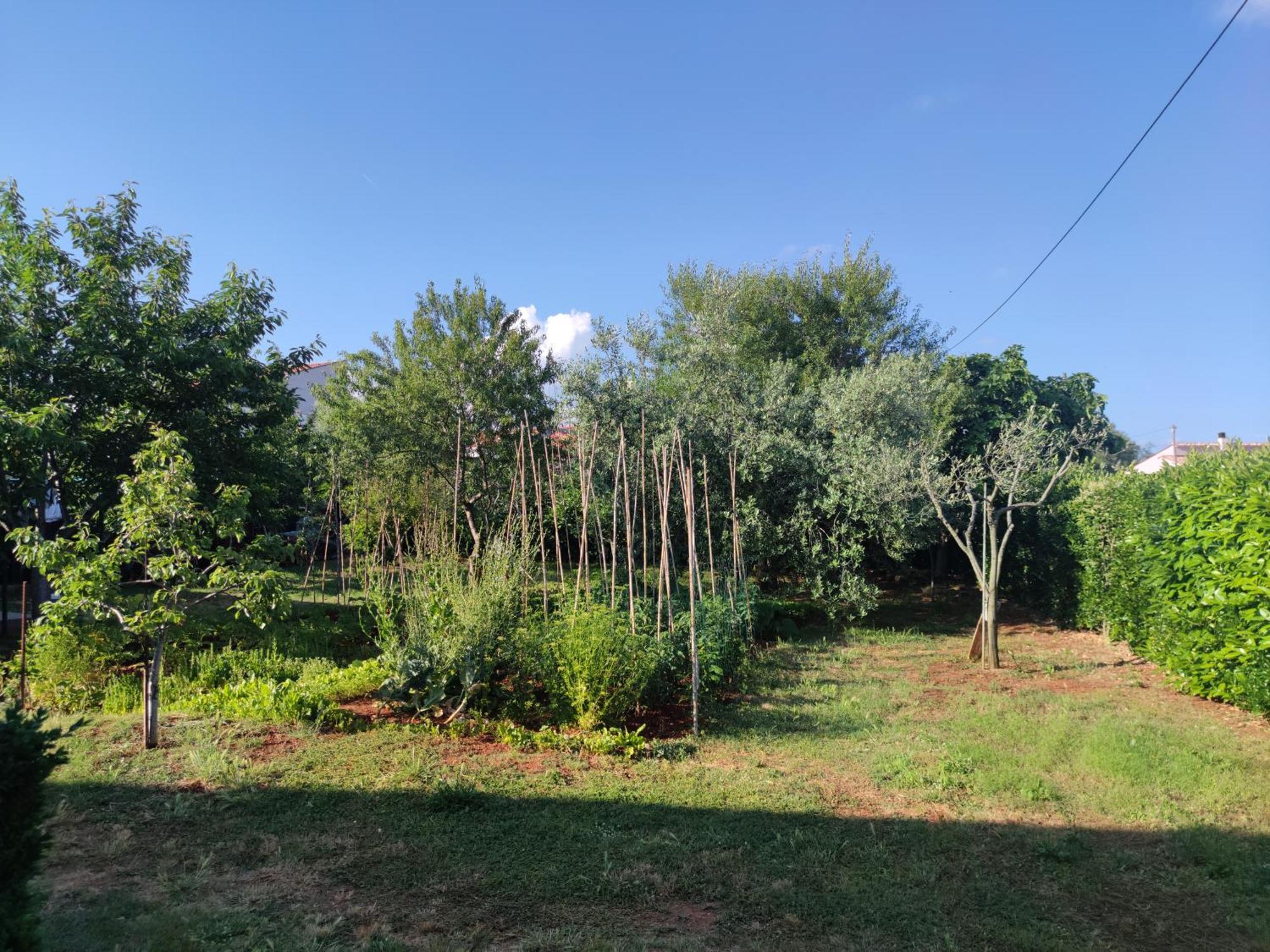 Apartment Spacious With Parking&garden *