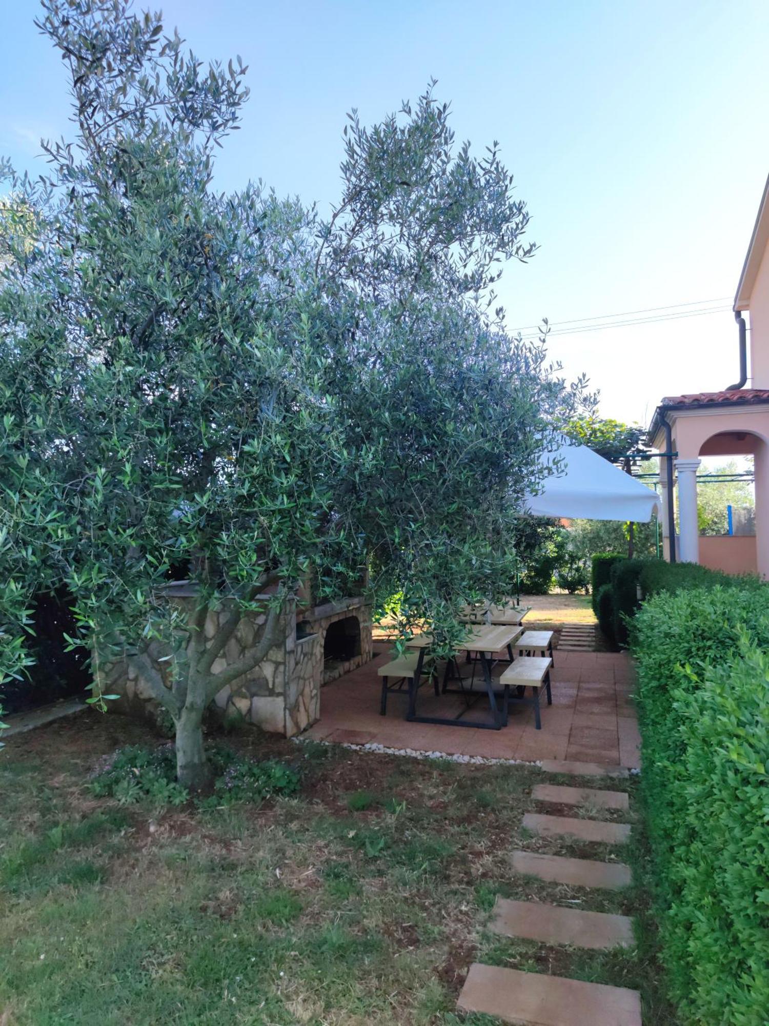 Spacious With Parking&garden Apartment